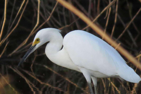 TAMBOPATA AMAZON WILD 3D/2N