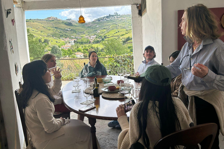 Valle del Douro: tour di mezza giornata con 1 cantina, degustazioni e tour in barca di 1 ora