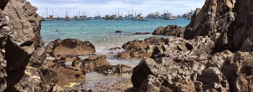 De Piura | Excursion d'une journée à Paita et Colán