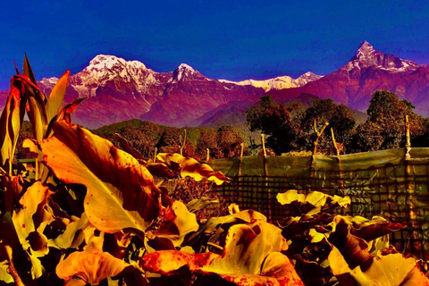 Katmandu: Szybki trekking Ghorepani Poon Hill z przewodnikiem