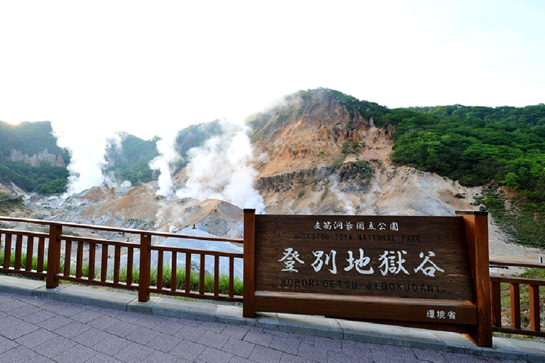 Hokkaido 1-Day Tour: Mt. Showa, Lake Toya & Noboribetsu