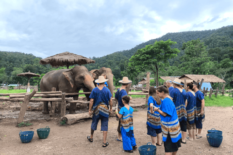 Chiang Mai: Pro Private Driver Service with Custom Itinerary