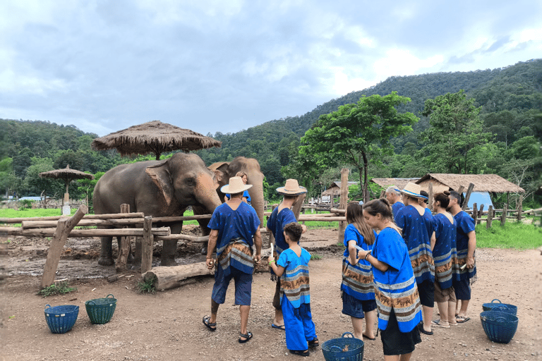 Chiang Mai: Pro Private Driver Service with Custom Itinerary