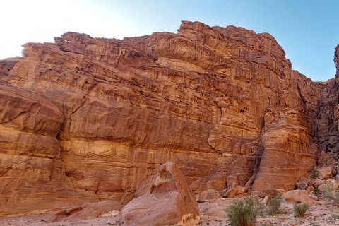 Amman or Dead Sea: Petra & Wadi Rum Jeep Tour and Dinner. From Amman: Tour to Petra and Wadirum with Guide in Petra.