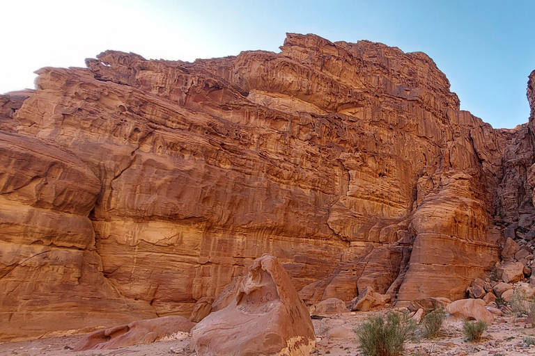 Amman or Dead Sea: Petra & Wadi Rum Jeep Tour and Dinner. From Amman: Tour to Petra and Wadirum with Guide in Petra.