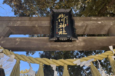 Tokyo: Mt. Fuji Yamanakako Fireworks Festival Day Tour 2026
