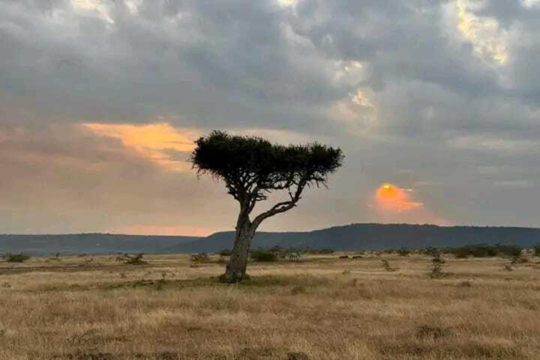 Nairobi: Masai Mara National Reserve Overnight Safari