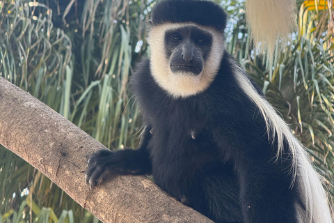 Addis Abeba: 21-dniowa wycieczka do Doliny Omo