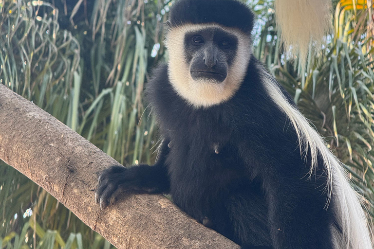 Addis Abeba: 21-dniowa wycieczka do Doliny Omo