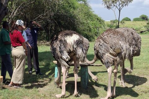 Mombasa:Nguuni Nature Sanctuary and Sundowner