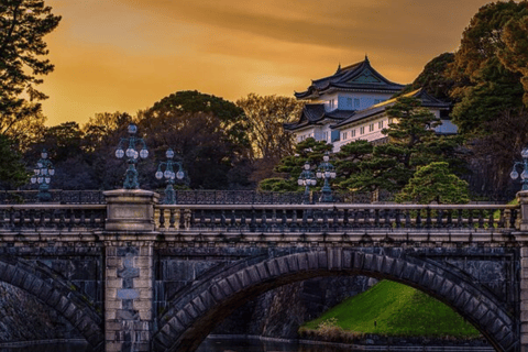 Tokio: Dostosuj jednodniową wycieczkę z kierowcą mówiącym po angielsku