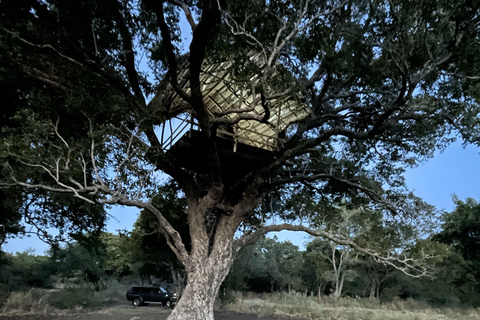 Stjärnklar flykt: Stjärnskådning från en trädkoja i Sigiriya