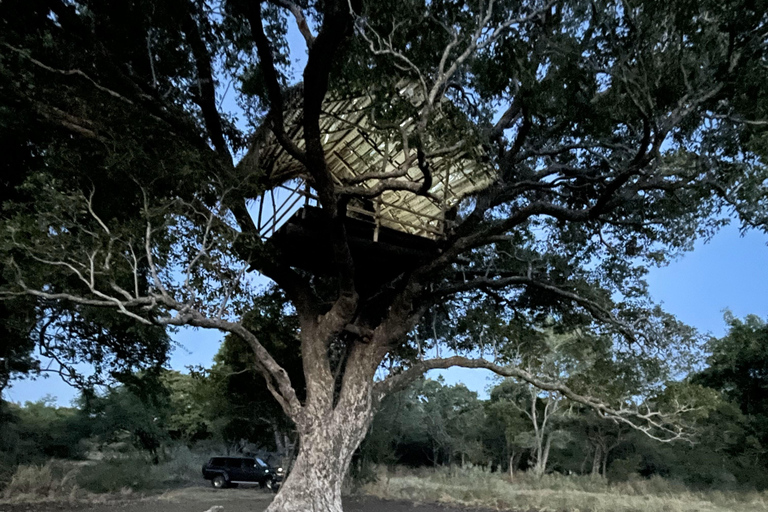 Starlit Escape: Stargazing from a tree hut in Sigiriya