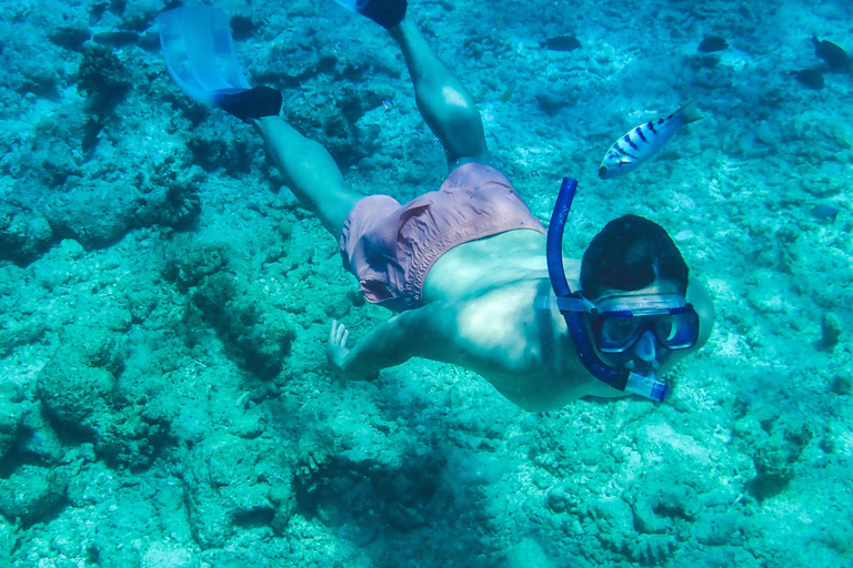 From Cancún: Catamaran Cruise with Open Bar, Snorkeling, and Lunch Basic tour with drinks included