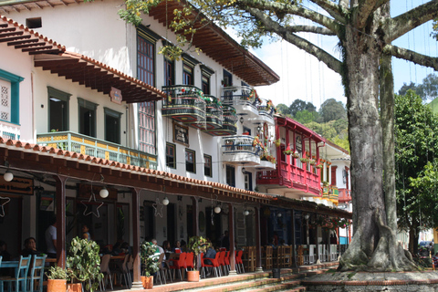 Magical Jericó Tour and BBQ at a Private Estate Magical Jericho Tour and BBQ at a Private Estate