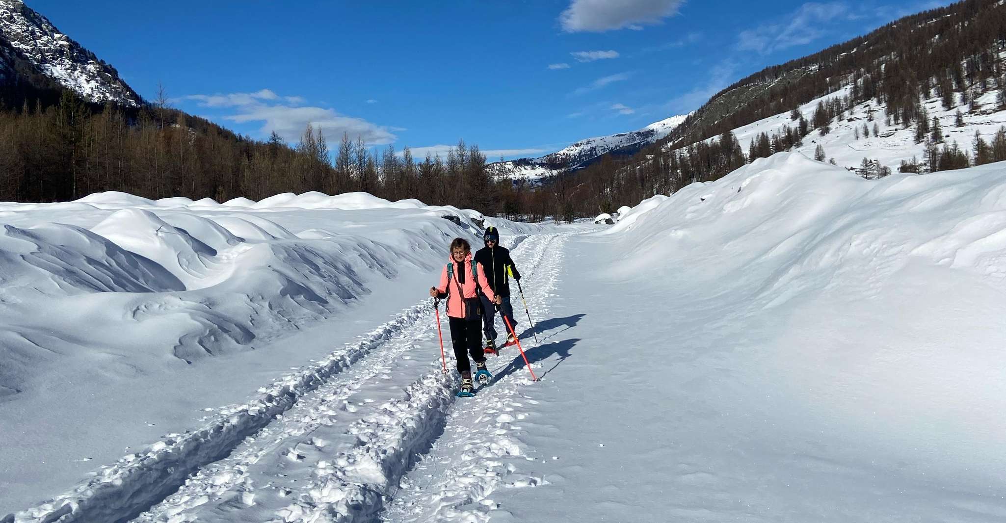 Vialattea, Snowshoeing into the snowy forest - Housity