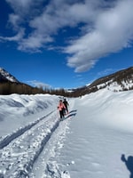 Vialattea、雪の森へのスノーシュー - Housity