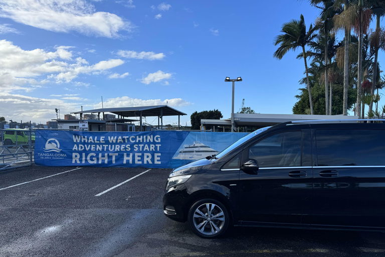 BRISBANE: TANGALOOMA SHUTTLE FRÅN CBD TILL HOLT ST WHARF8:25 - upphämtning från hotell Sebel Brisbane