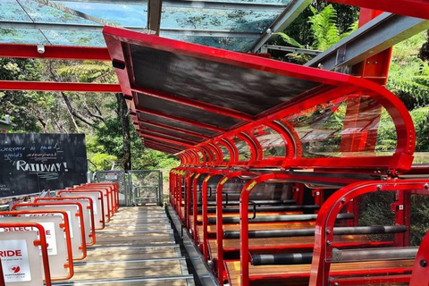 Blue Mountains Adventure: Wild Boar Rock & Cable Car Boutique minibus group tour - fixed meeting point