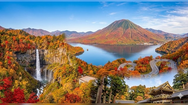 Tokyo: Nikko World Heritage Site Private Day Trip