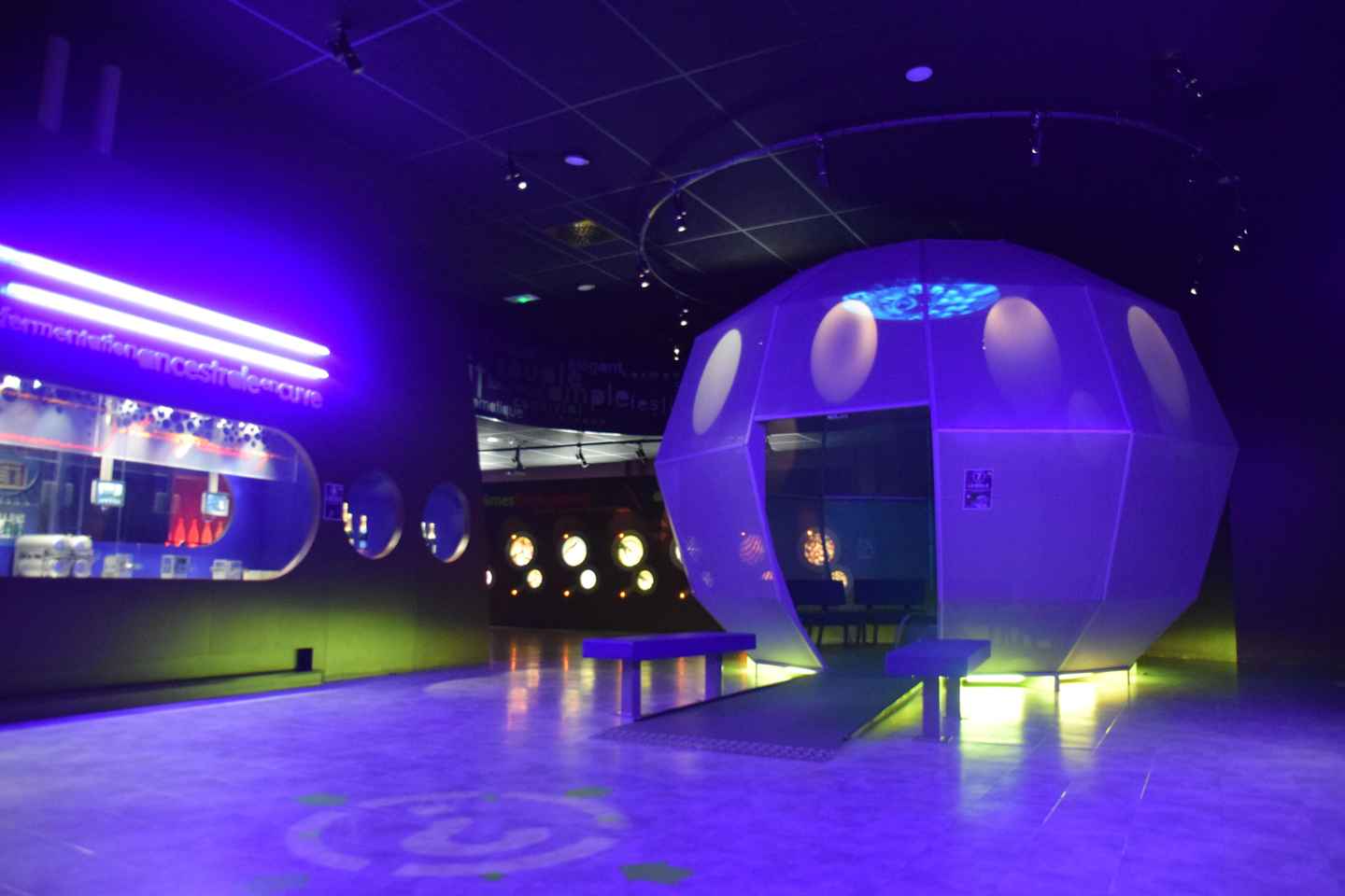 ニュイ=サン=ジョルジュ ワインテイスティング体験