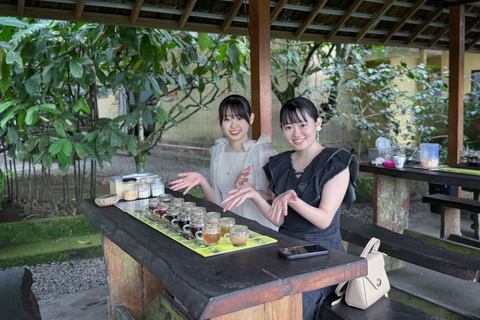 East Bali Instagrammable Private Tour with Optional Lunch With Entry Fees | Lunch not Included