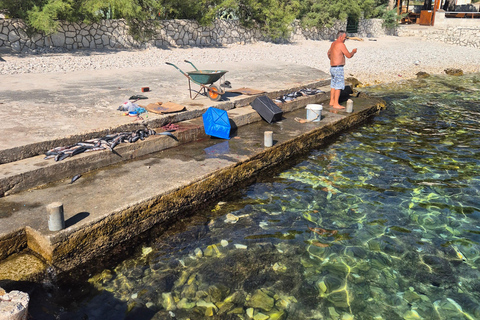 Wspaniała błękitna laguna, łódź motorowa, wino/woda i ręczniki w cenie.Włochy na plaży