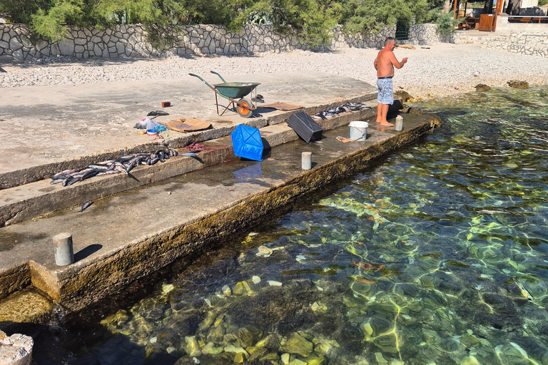Wspaniała błękitna laguna, łódź motorowa, wino/woda i ręczniki w cenie.Włochy na plaży