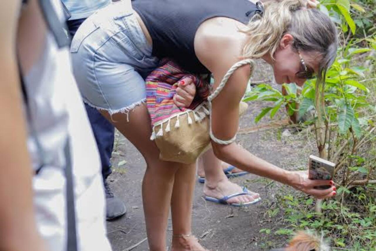 Zanzibar: Jozani Forest & The Rock Restaurant Day Trip Private Tour without Hotel transfer