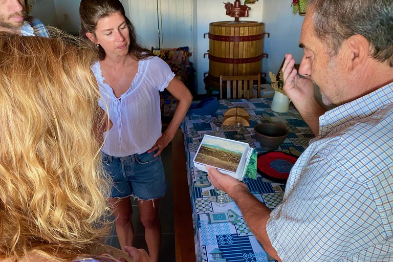 L'île de Pico : Dégustation de vin, producteurs indépendants et culture