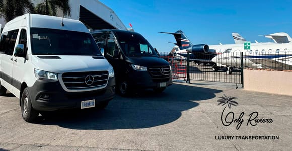 private transportatio VAN-SPRINTER 12 PAX, to punta mita