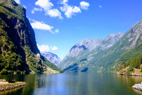 Tour de día completo privado a Flåm