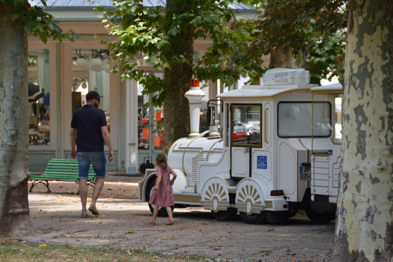 From Lyon: Vichy, City of Water Day Trip