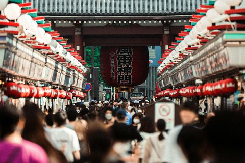 Tour privato di Tokyo in auto con autista di lingua inglese