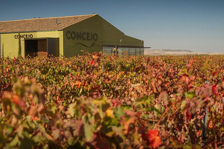 Valladolid: Concejo Bodegas1,5 ore Cantine del Consiglio