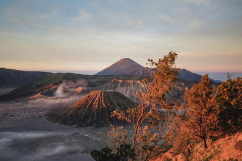 From Yogyakarta: 3-Day Mount Bromo & Kawah Ijen Tour Tour with Surabaya Drop-off