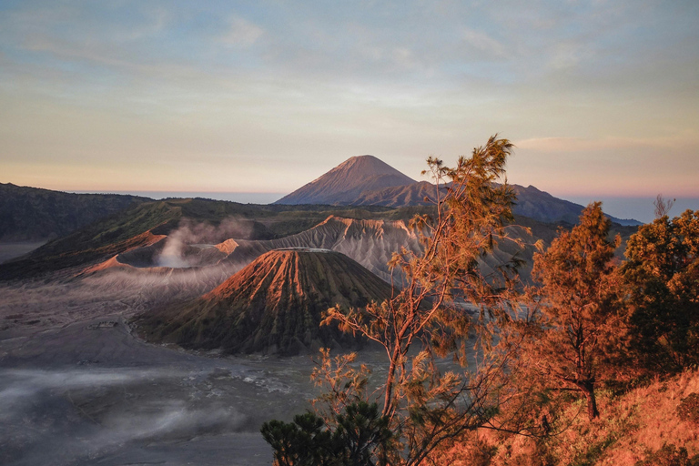 From Yogyakarta: 3-Day Mount Bromo & Kawah Ijen Tour Tour with Surabaya Drop-off