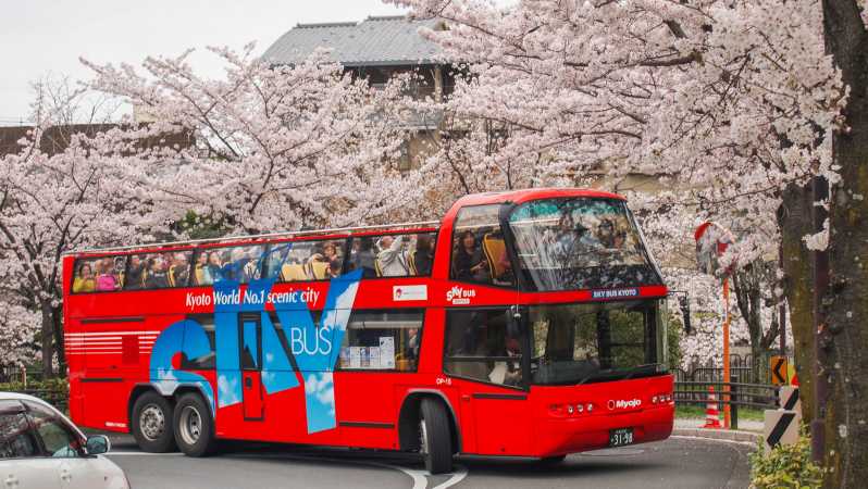 Kyoto: Biglietto dell'autobus turistico Hop-on Hop-off