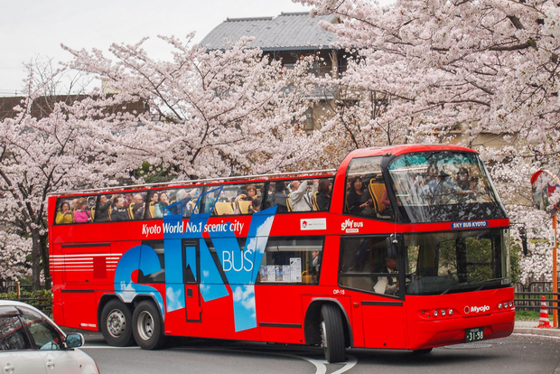 Kyoto: Hop-On/Hop-Off-Bus Sightseeing Bus Ticket