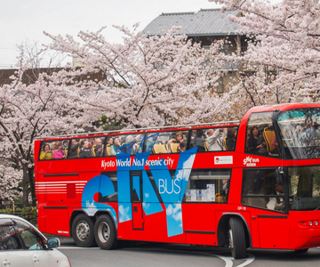 Kyoto: Hop-on Hop-off Sightseeing Bus Ticket