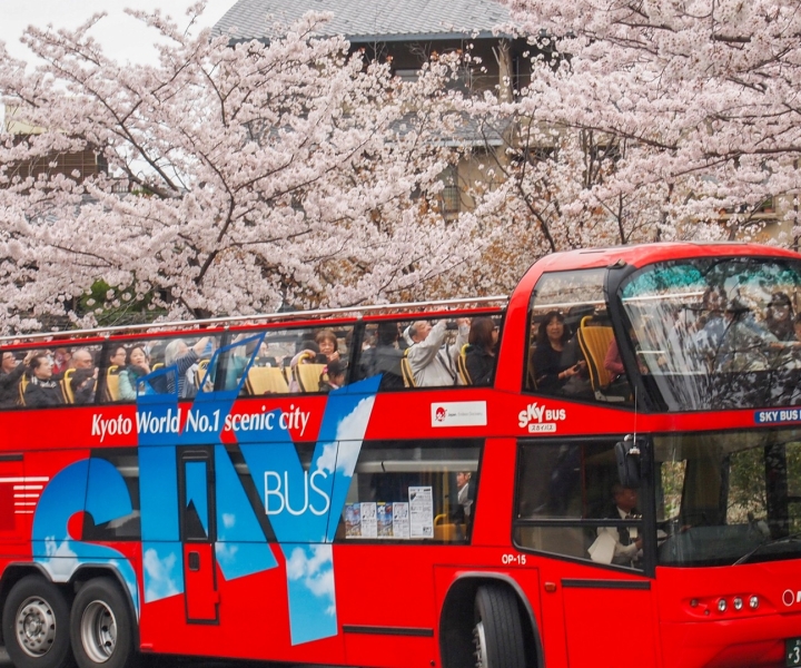 Kyoto: biglietto per l'autobus Hop-on Hop-off