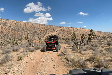 Las Vegas Mojave Off Road Adventure/Polaris RZR Guided Tour New 2 Seat Polaris RZR XP 1000 - Guided Tour