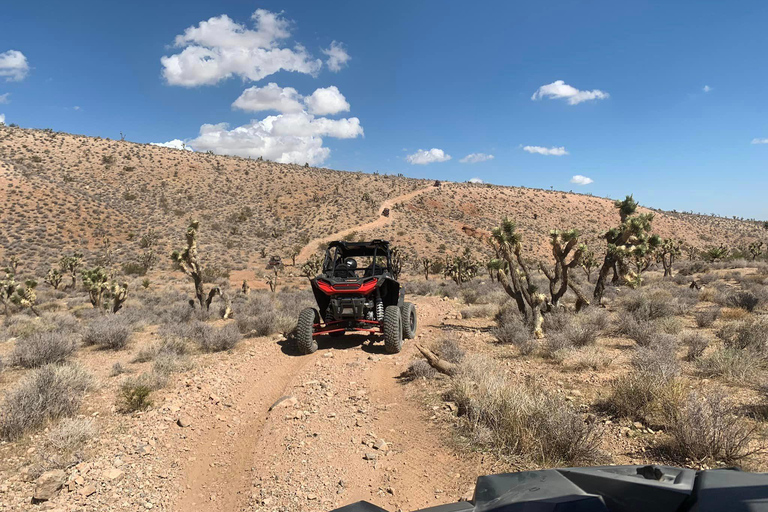 Las Vegas Mojave Off Road Adventure/Polaris RZR Guided Tour New 2 Seat Polaris RZR XP 1000 - Guided Tour