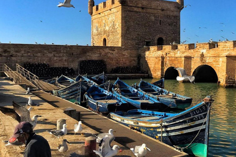 From marrakech: Explore Essaouira, Beaches & Local Culture