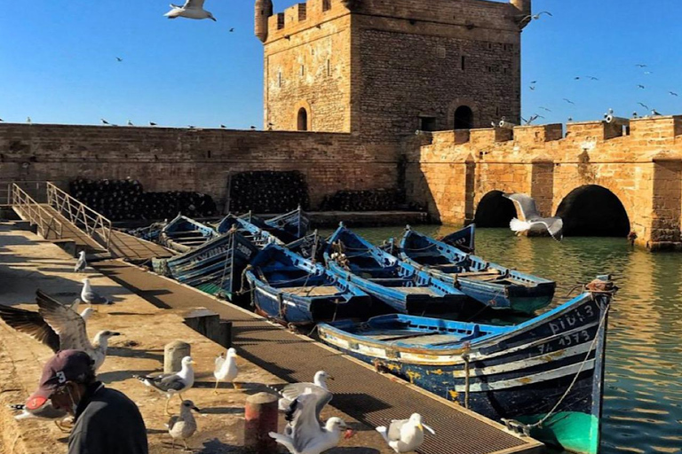 From marrakech: Explore Essaouira, Beaches & Local Culture