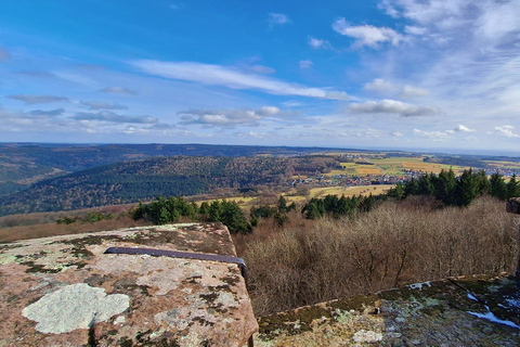 Heidelberg: Neckar River, Cave, Odenwald – Active Highlights Discovery Tour
