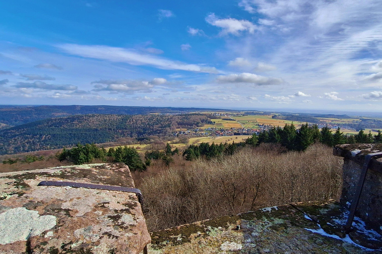 Heidelberg: Neckar River, Cave, Odenwald – Active Highlights Discovery Tour