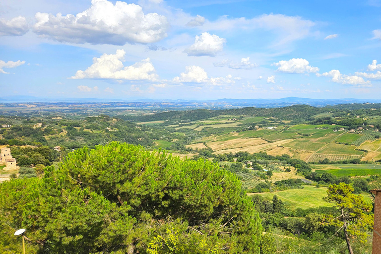 From Rome: Tuscany, Montepulciano Tour with Wine & Lunch English Tour Option