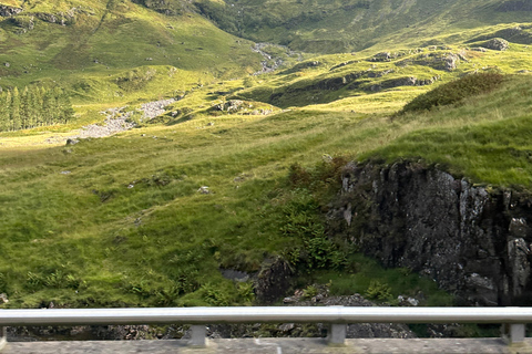 From Edinburgh: Glenfinnan, Fort William and Highland Cows