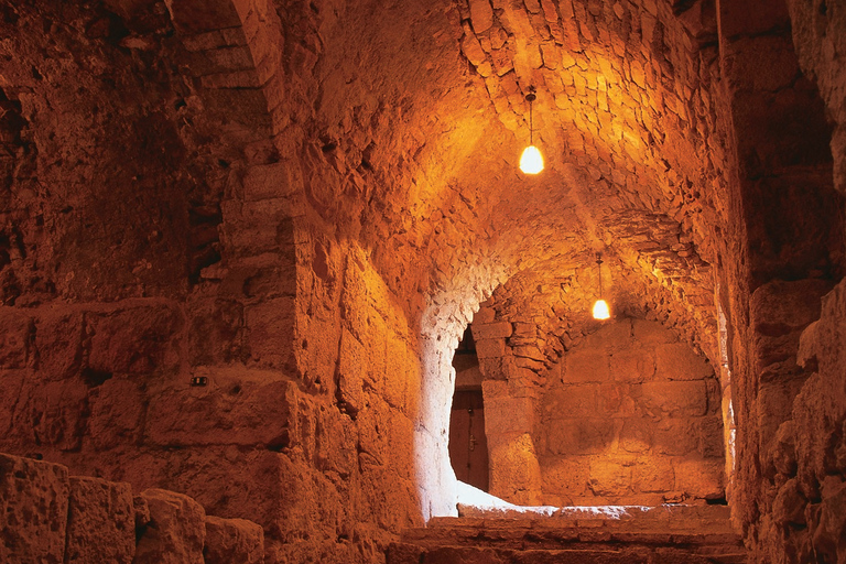 Escursione a Jerash e al Castello di AjlounEscursione di un giorno a Jerash e al Castello di Ajloun